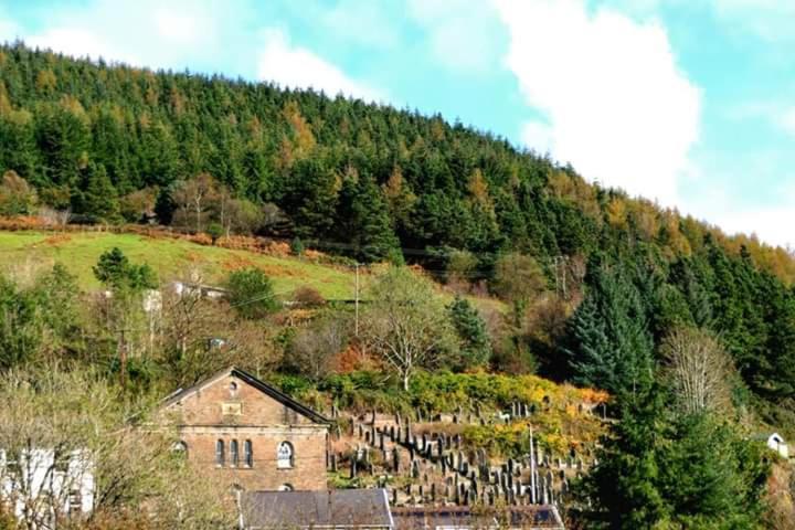 Selah Cottage, 21 Queen Street Pontrhydyfen Quarto foto