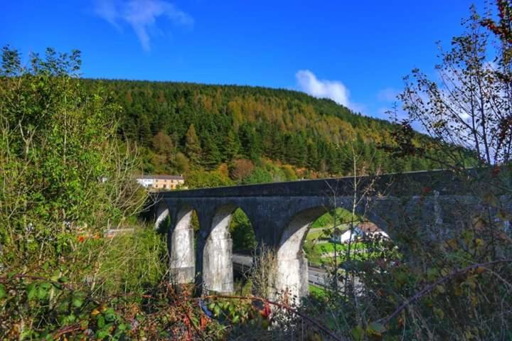 Selah Cottage, 21 Queen Street Pontrhydyfen Quarto foto
